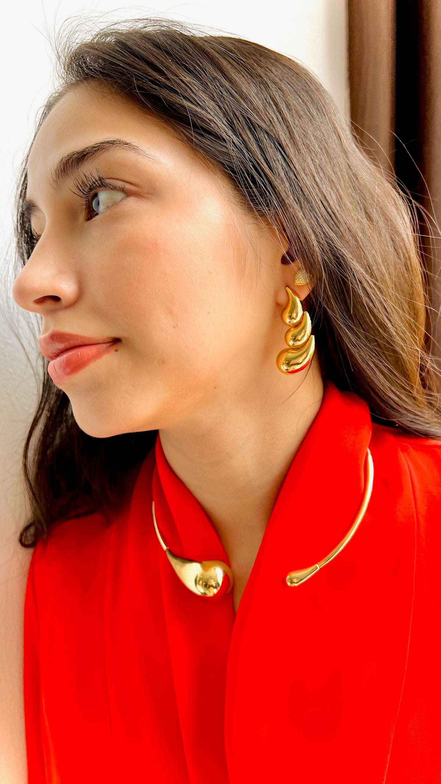 Aretes Botega Beneta