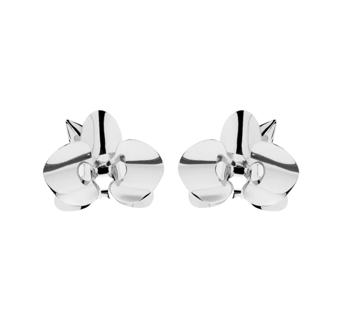 Evolua Earring