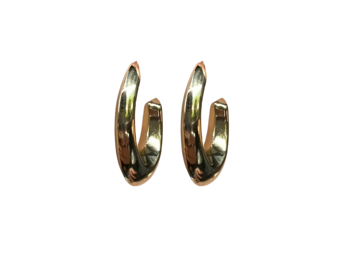 Aretes Divine