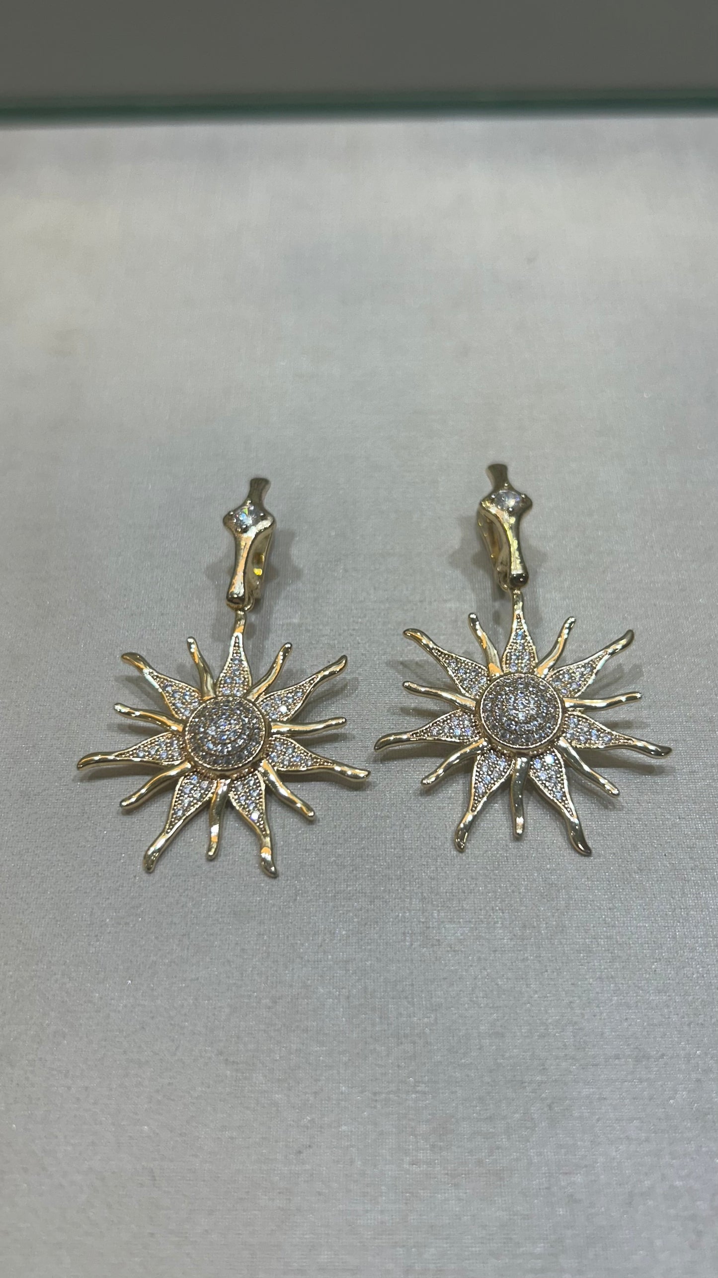 Aretes Shinny