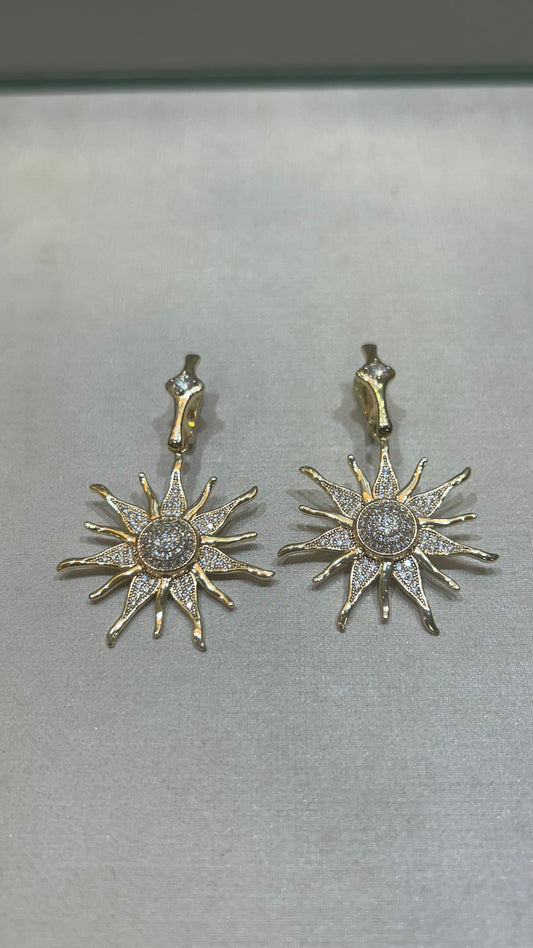Aretes Shinny