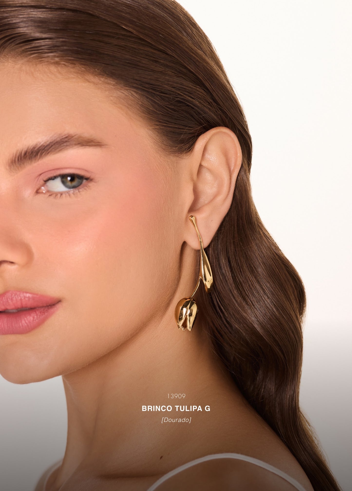 Arete L Tulipa