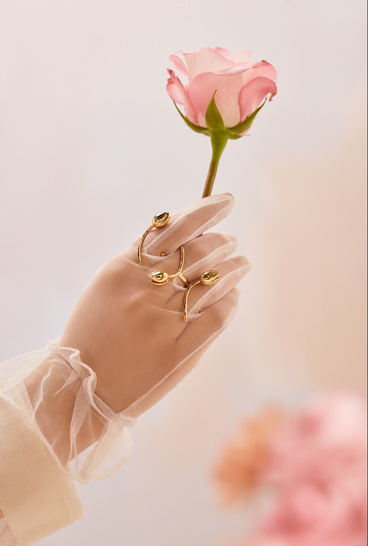 Anillo Tulipa