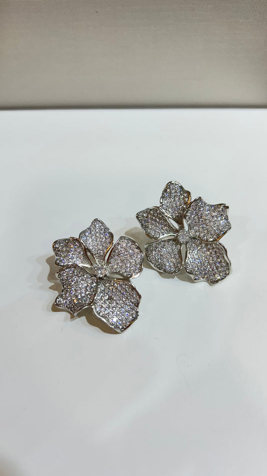 Aretes Silver Shine